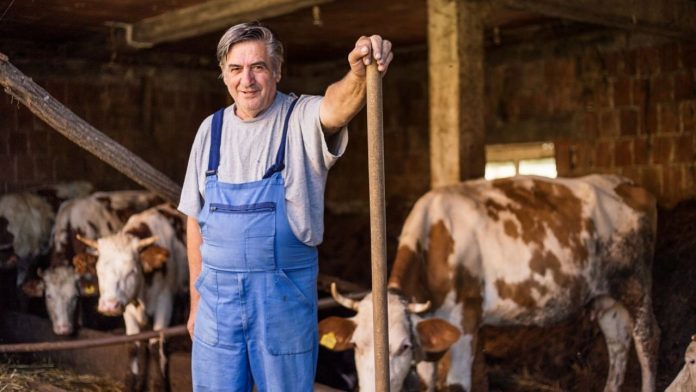 agrointel.ro
