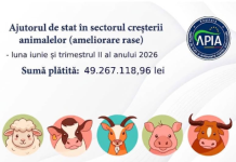 APIA plătește 49 de milioane de lei în sectorul creșterii animalelor